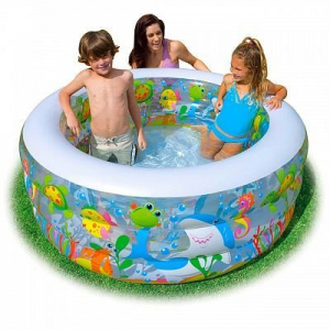 ���� ������ ������� �������� Intex Aquarium 58480 (152�56 ��) ��������-�������� ������������
