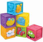 ���� �������� ����������� ������� ��������-�������� ������������