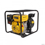 ���� �������� ��������� ��������-�������� ������������