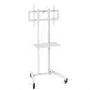 ������ Cactus CS-ST04, 37"-70", white