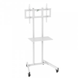 ������ Cactus CS-ST04, 37"-70", white