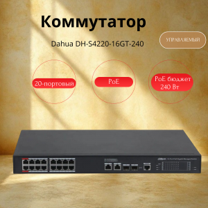 ���������� Dahua DH-S4220-16GT-240