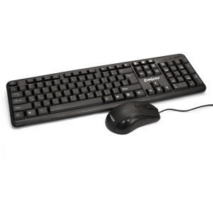 ���� ������ ���������� + ���� ExeGate Professional Standard Combo MK120-OEM USB ��������-�������� ������������