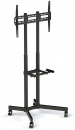 ��������� Arm Media PT-STAND-7 black