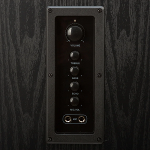 ���� ������ ������������ ������� Eltronic 20-82 Home Sound black ��������-�������� ������������