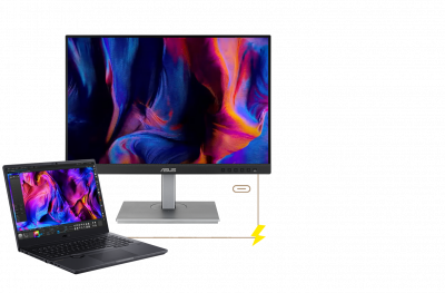���� ������ ������� 24.1" ASUS ProArt PA248CNV black ��������-�������� ������������