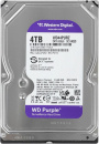 ������� ���� Western Digital Purple HDD 3.5" SATA 4Tb (WD44PURZ), IntelliPower, 128MB, �����