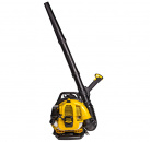 ������������ ���������� Champion GBR333