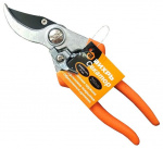 ���� �������� �������� ��������-�������� ������������