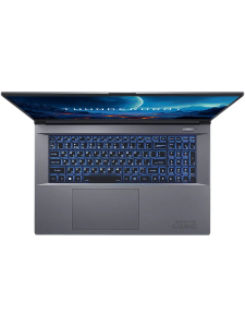 ������� Thunderobot 911 Plus G3 XD 17.3" FHD/Core i5-13420H/16��/512��/RTX 4050/DOS �����