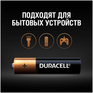 �������� �������� Duracell Basic LR6-12BL AA (12��)
