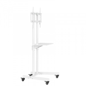 ������ Cactus CS-ST04, 37"-70", white