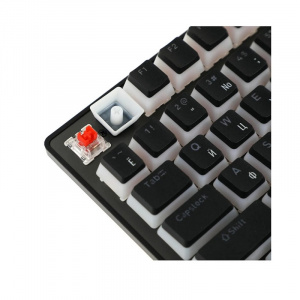 ���� ������ ���������� Acer Nitro OKW303 USB, black/ZL.KBDCC.01D ��������-�������� ������������