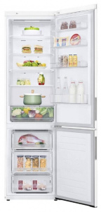 ���� �������� ����������� LG GA-B509CQSL (������������), white ��������-�������� ������������