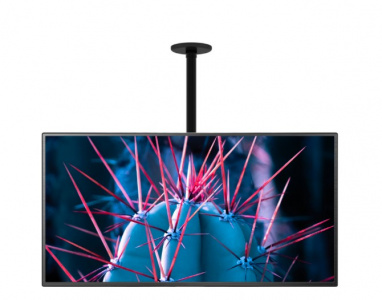 ��������� Cactus CS-CP07 23-55 black