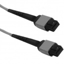 ������ Fibertrade MPO/APC(female)-MPO/APC(female) 12 ������� FT-FC-12-MPOF/APC-MPOF/APC-SM-PB-LowLoss-1.5