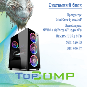 ��������� ���� TopComp AK 121970777 Core i5 10400F/8Gb/SSD240/GT 1030 2Gb/WIN10������� black