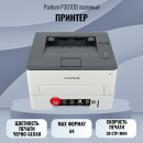 ������� Pantum P3010D ��������