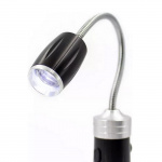 ���� �������� ����������� ������� ��������-�������� ������������