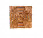 ���� �������� ����� ���� ��������-�������� ������������