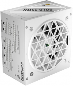 ���� ������� 1STPLAYER NGDP GOLD 750W (ATX 3.1, APFC, 80 PLUS Gold) �����