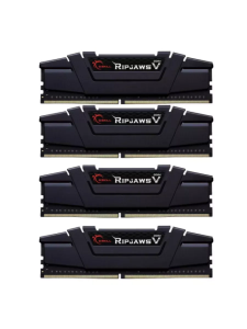 ����������� ������ G.Skill Ripjaws V DDR 4 DIMM 16Gb PC25600, 3200Mhz, CL16, 1.35V (F4-3200C16S-16GVK) ������