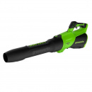 ������������ GreenWorks GD40BG3 40� (��� ��� � ��)