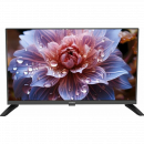 ��-��������� Goldstar LT-24R1100 ������