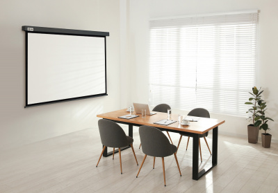 ���� ������ ����� ��� ��������� Cactus 152x203�� Wallscreen CS-PSW-152X203-SG grey ��������-�������� ������������