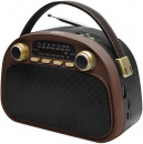 ������������ Ritmix RPR-040, ����������