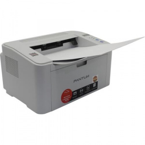 ���� ������ ������� Pantum P2518, gray ��������-�������� ������������