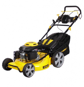 ���� ������ ������������� ���������� CHAMPION LM5346E ��������-�������� ������������