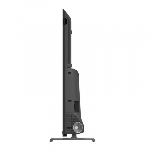 ��-��������� Digma Pro 65L 65" black/silver