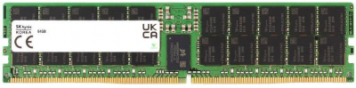 ����������� ������ Hynix 64GB 5600MHz DDR5 RDIMM (HMCG94AGBRA184N), �������