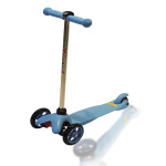 ���� �������� ������� ��������� ��������-�������� ������������