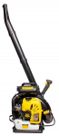 ���� �������� ������������ ���������� ��������-�������� ������������