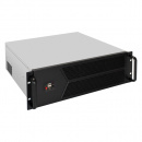 ������ ��������� ExeGate Pro 3U450-12 (EX298413RUS) ������