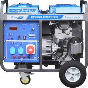 ��������� TSS SGG 10000EH3A (190010) �����