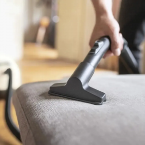 ���� ������ ������� Karcher DS 6 Plus ��������-�������� ������������