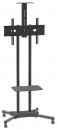 ��������� Arm Media PT-STAND-12, black