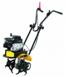 ���� �������� ������������ ���������� ��������-�������� ������������